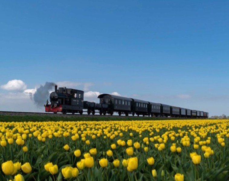 הורן, הולנד