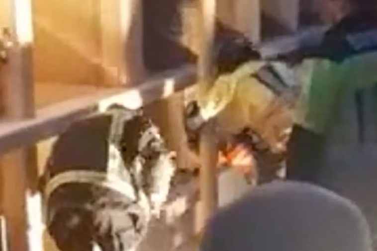 עובדי בית הקברות, ניסו להרחיב את הקבר