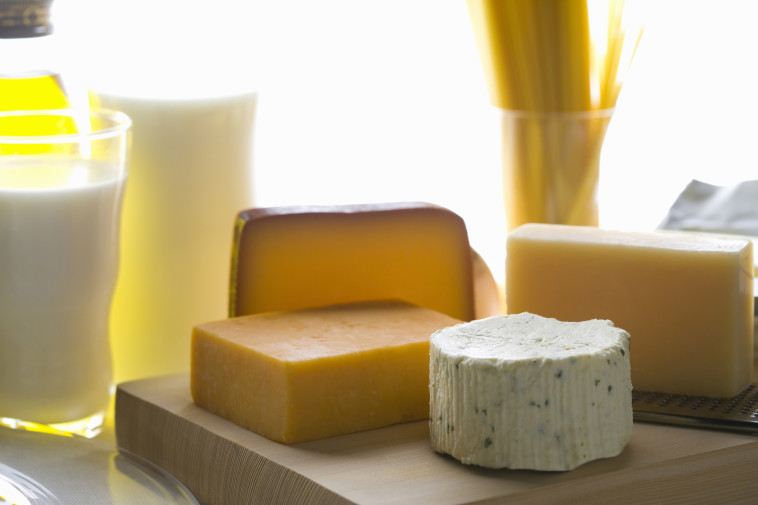 גבינות ומוצרי חלב (צילום: אינג אימאג)