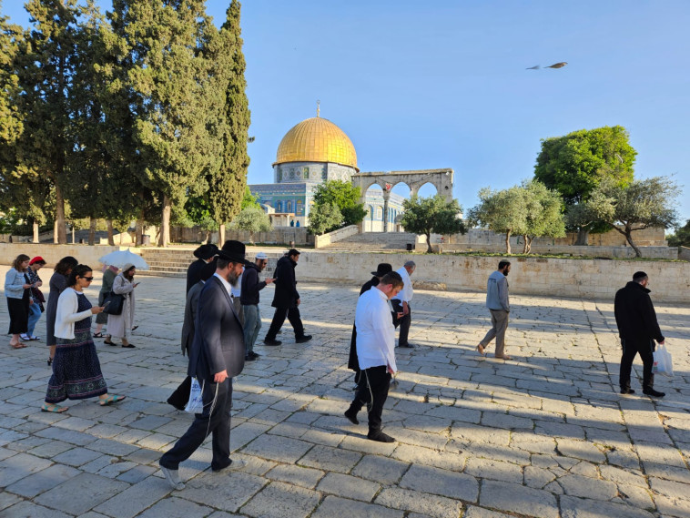 יהודים בהר הבית
