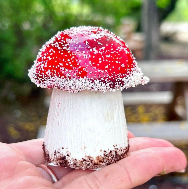 הקינוח של אור יוסף