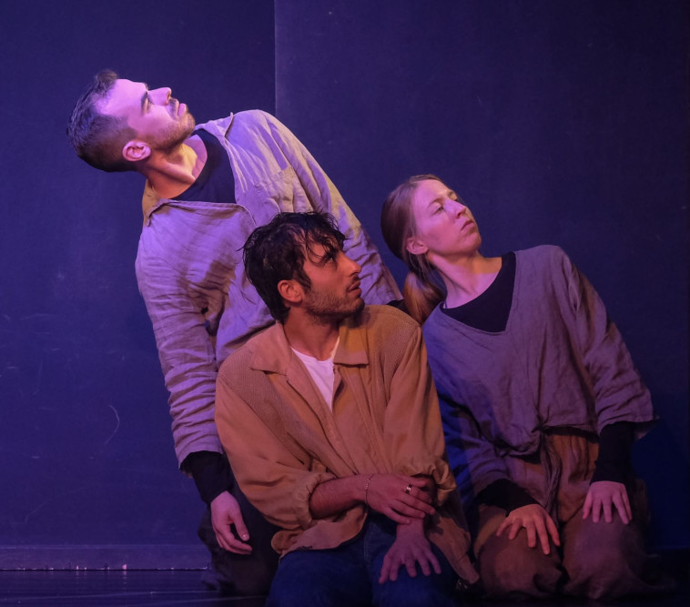 בר לוי ב''סימביוזה''