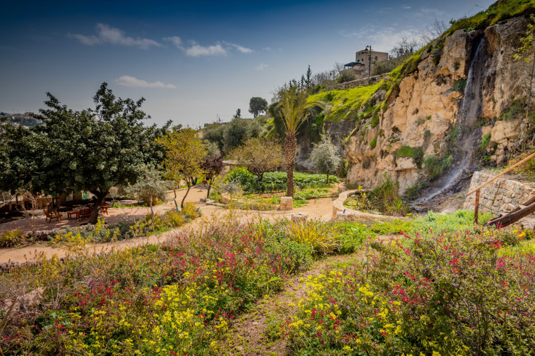 החווה בגיא, ירושלים. הכניסה חופשית (צילום: קובי הראתי, עיר דוד)