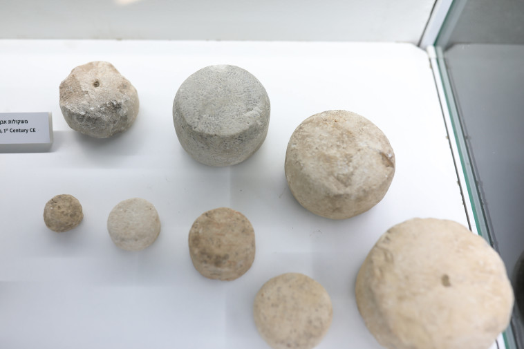 משקולות אבן שהתגלו בדרך עולי הרגל (צילום: תומר אביטל)