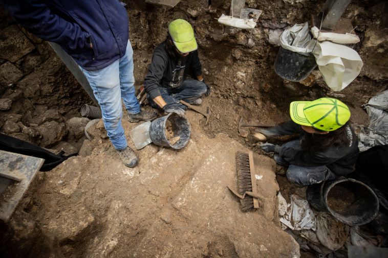 חפירה ארכיאולוגית בדרך עולי הרגל (צילום: קובי הראתי, עיר דוד)