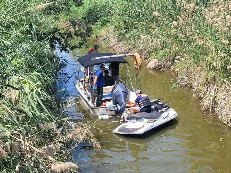 חשד להרעלת דגים בכנרת