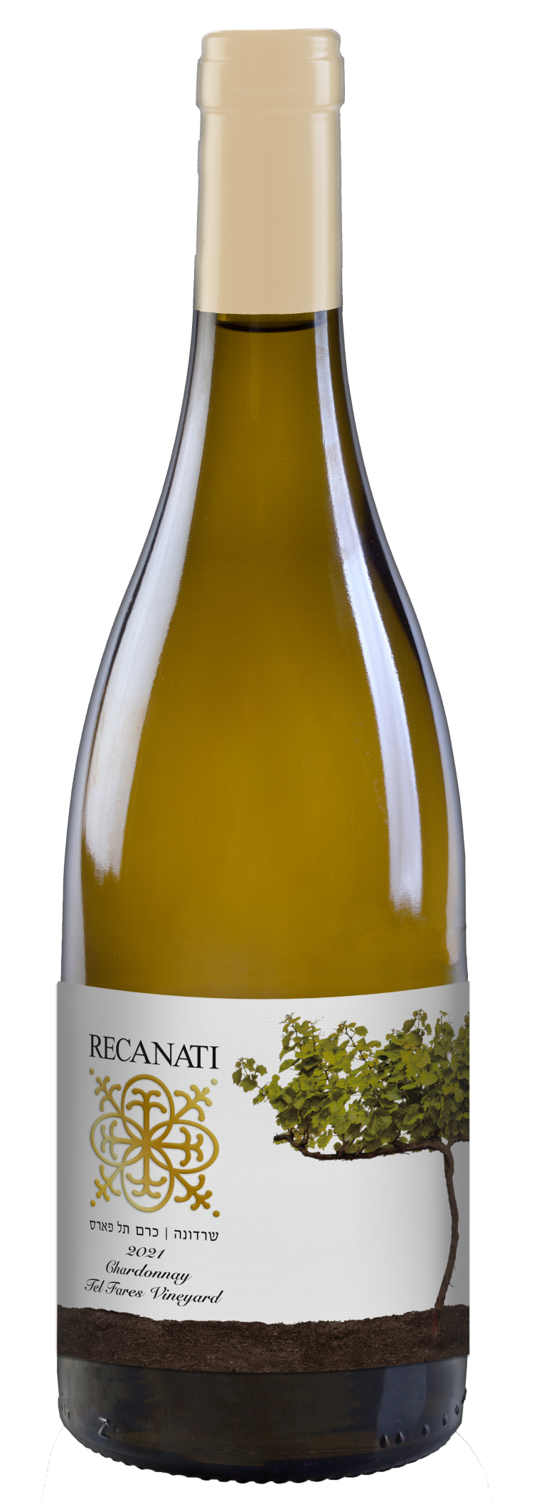 שרדונה כרם תל פארס 2021 