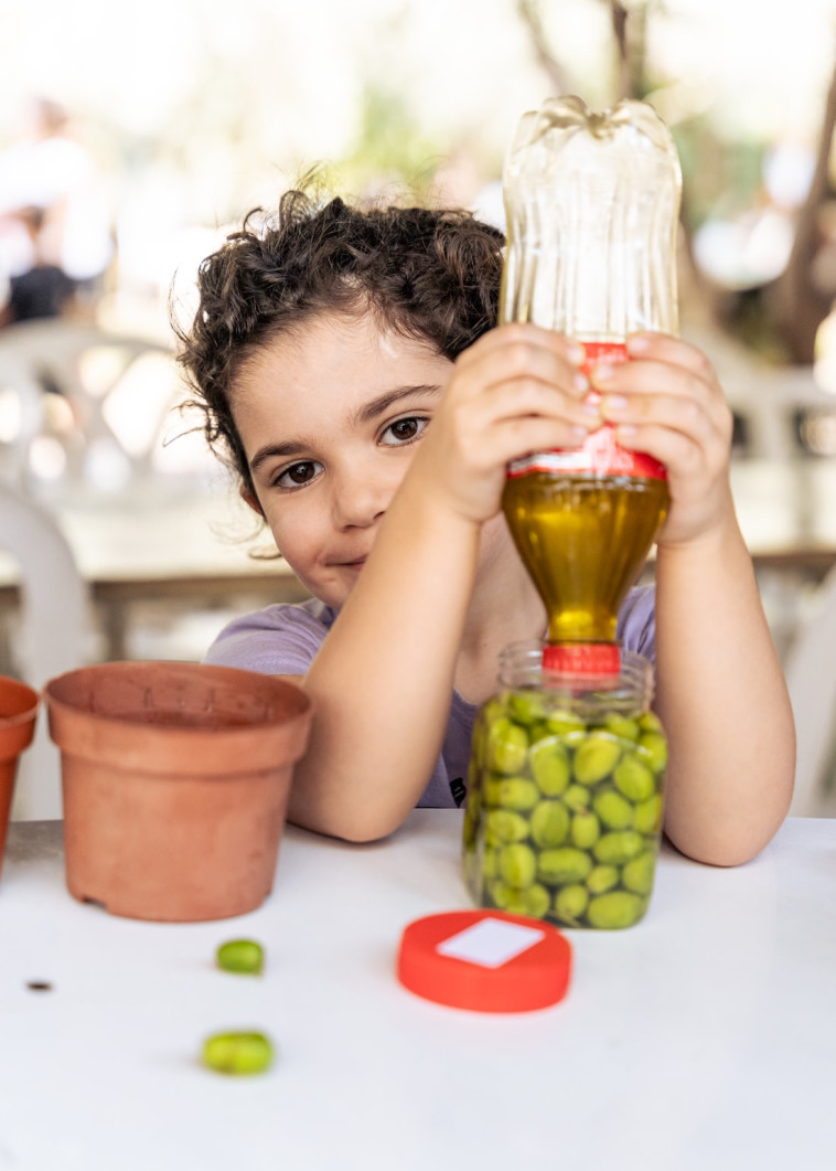 חגיגה בלבן בחבל מודיעין - חוות אלאדין 