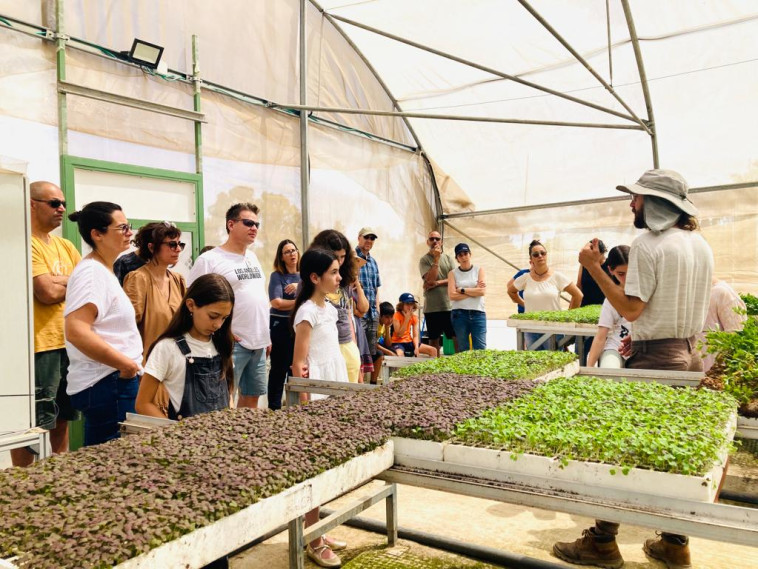 חוות שורש ועלה