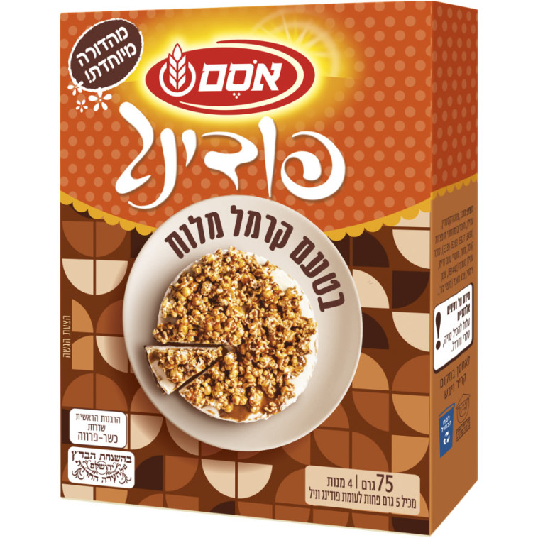 פודינג בטעם קרמל מלוח  (צילום: סטודיו אסם)
