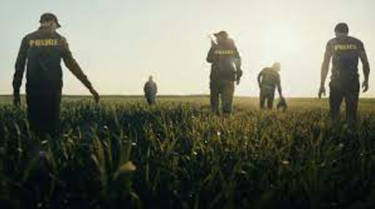 Missing Dead or Alive