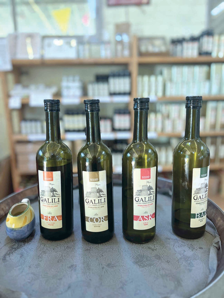 בית בד גלילי