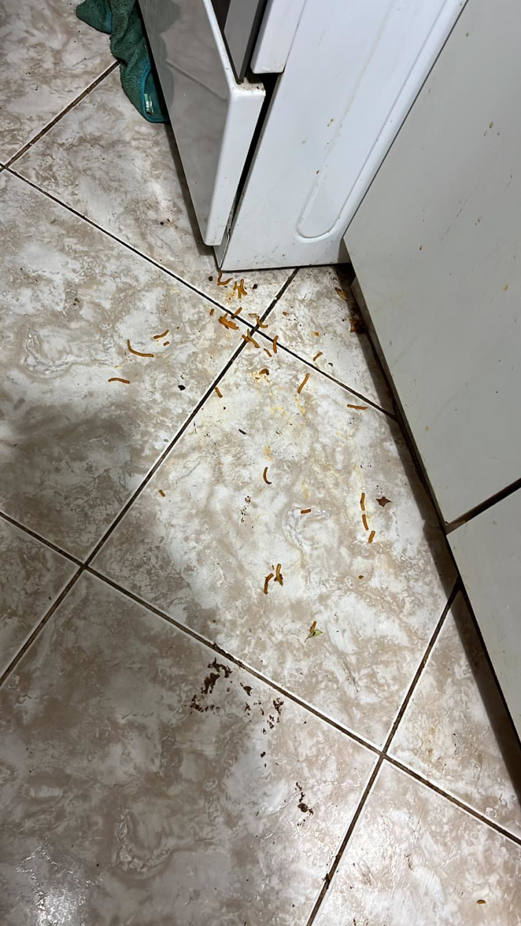 ביתה של הקשישה מקרית גת