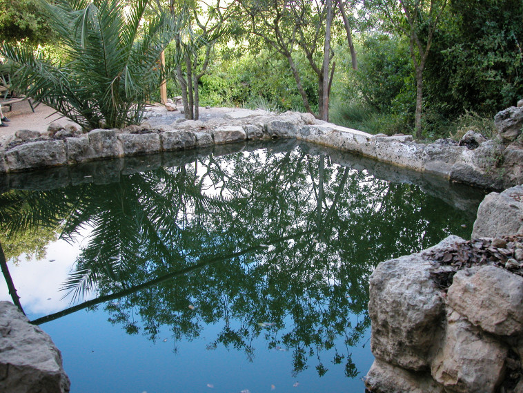 עין תמר בשביל המעיינות בעמינדב