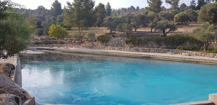 אגם התמרים - פארק קנדה 