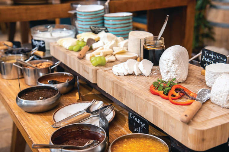 הסיקרט פורסט בהרי קפריסין 