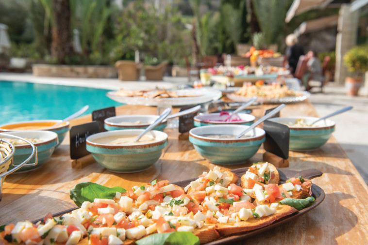 הסיקרט פורסט בהרי קפריסין 