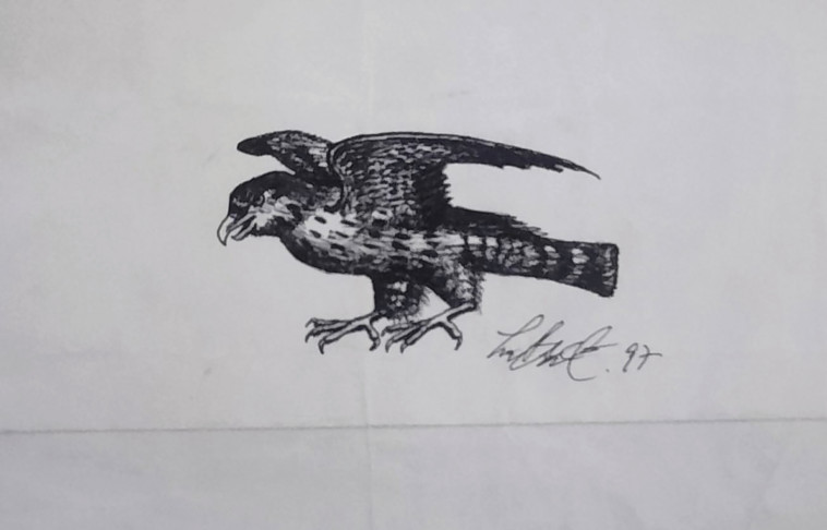 “ציור הנץ” של פרלמוטר (צילום: פרטי)