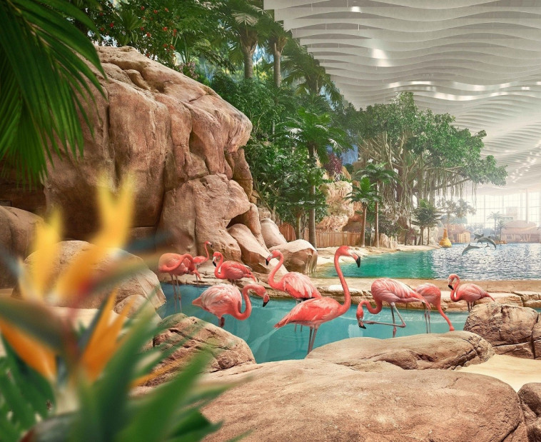 SeaWorld אבו דאבי