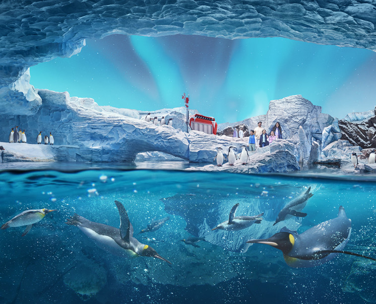 SeaWorld אבו דאבי