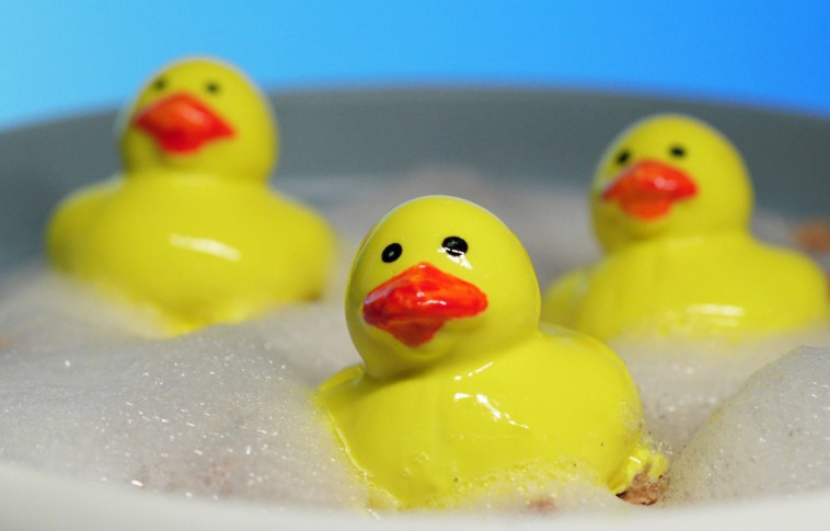 קינוח הברווזים של לירון טאקו