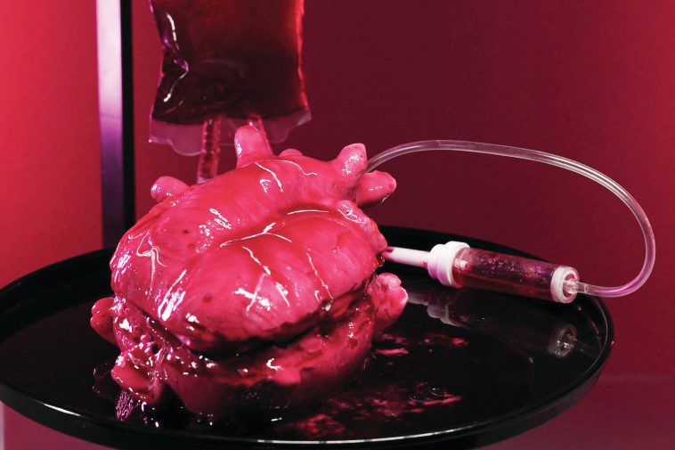 קינוח הלב של לירון טאקו