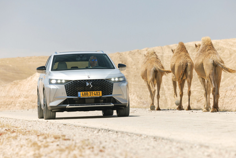 DS7 קרוסבק פלאג־אין