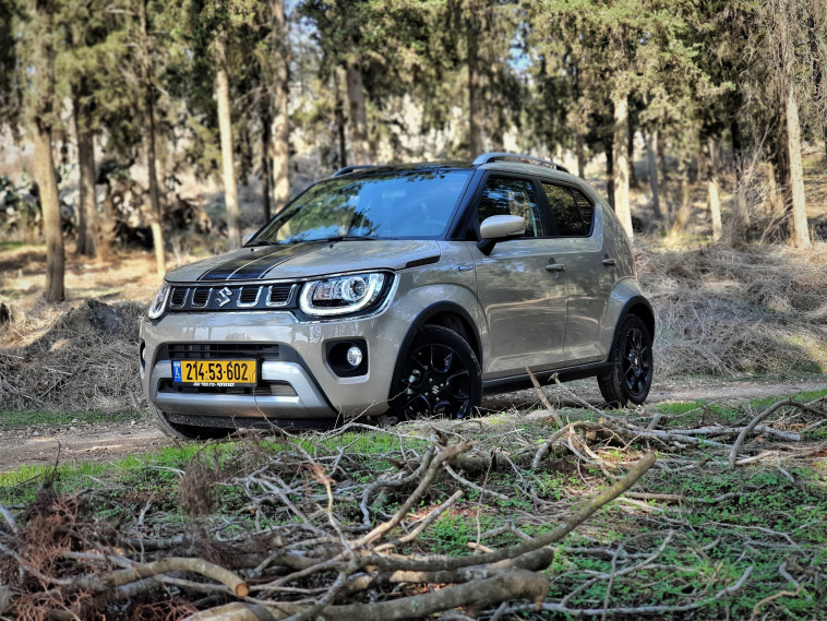 סוזוקי איגניס