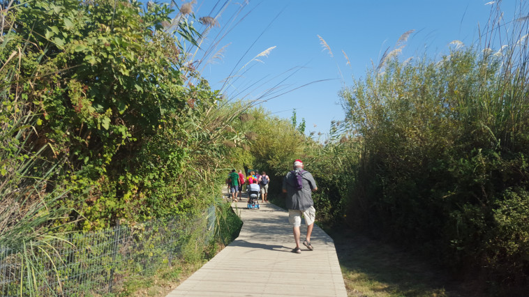 נחל שניר. זורם כל השנה