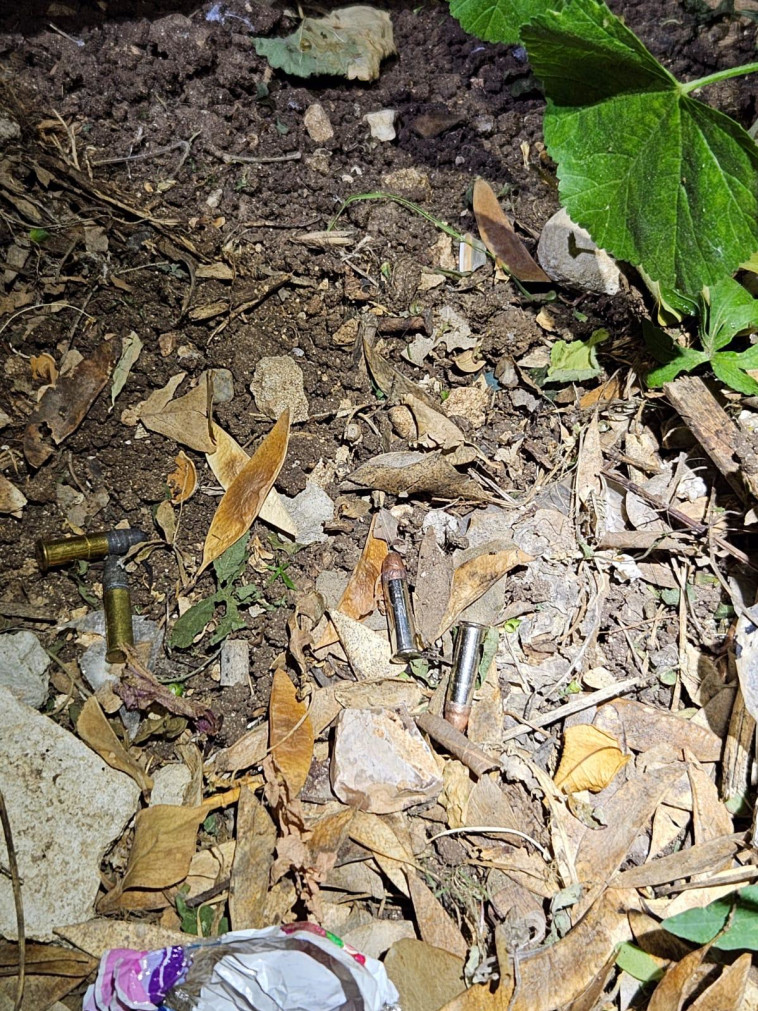 שמונה כדורי תחמושת של 0.22 מ״מ שנתפסו בטירת כרמל