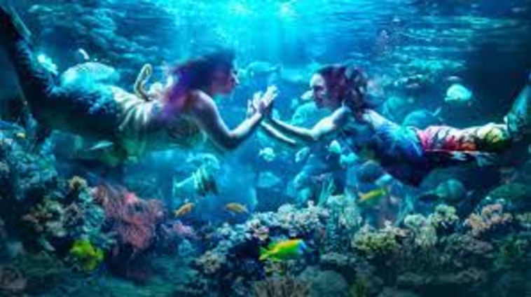 קרב סנפירים