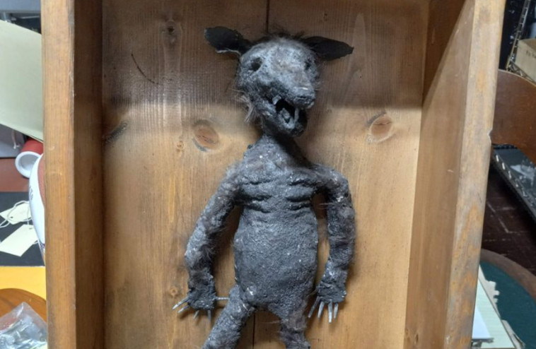 גוף דמוי אדם ושיניים מחודדות וציפורניים ארוכות