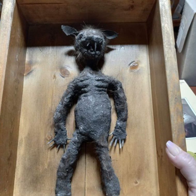 מי יודע איזה ניסויים מוזרים בוצעו באיזה חולה מסכן שהפך אותו לחולדה?