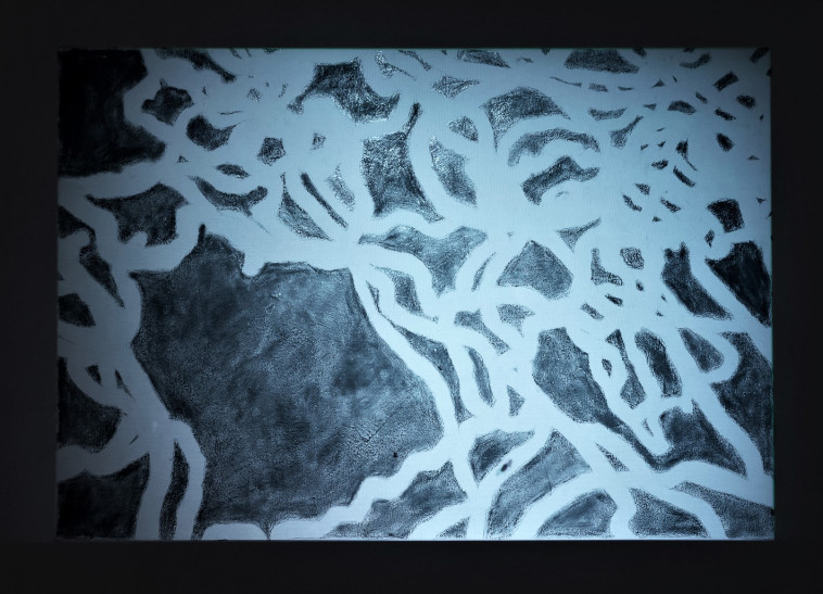 ''עבודת נמלים'' של האמנית מרב סבירסקי