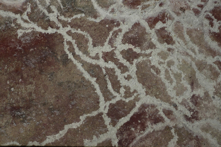 ''עבודת נמלים'' של האמנית מרב סבירסקי