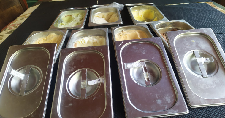 הגלידות של מירי הופמן כסיף 