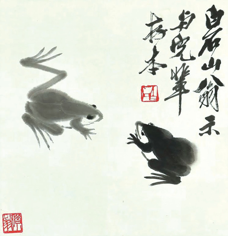 ציור צפרדע סיני (צילום: איור: אופיר בגון)