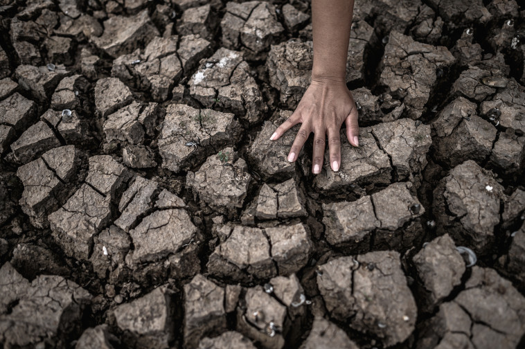 נאבקים במשבר האקלים (צילום: אינגאימג')