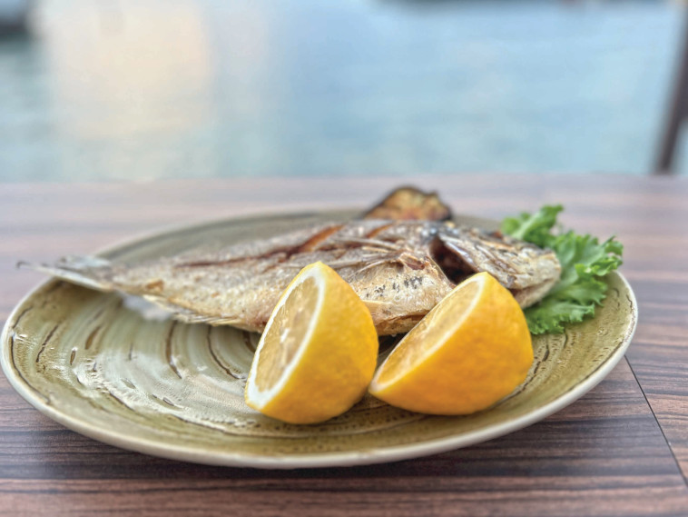 מפגש הדייגים