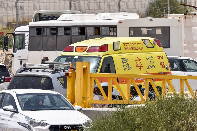 זירת הפיגוע בגבול מצרים