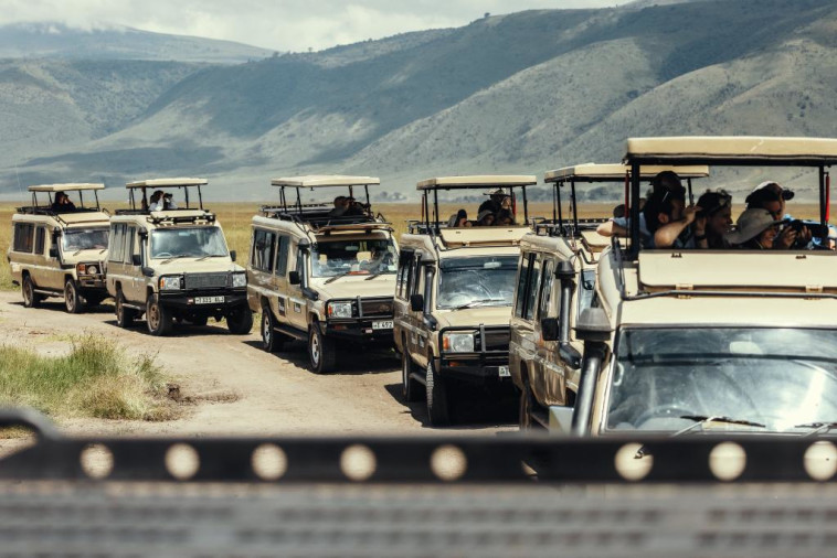 הטיול לטנזניה של חברת Perion