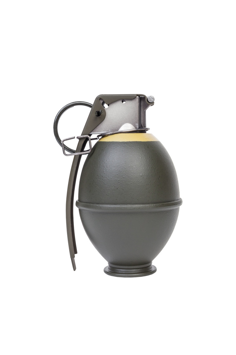 מי מבני המשפחה משך, לכאורה, בנצרה והביא למותו של האב