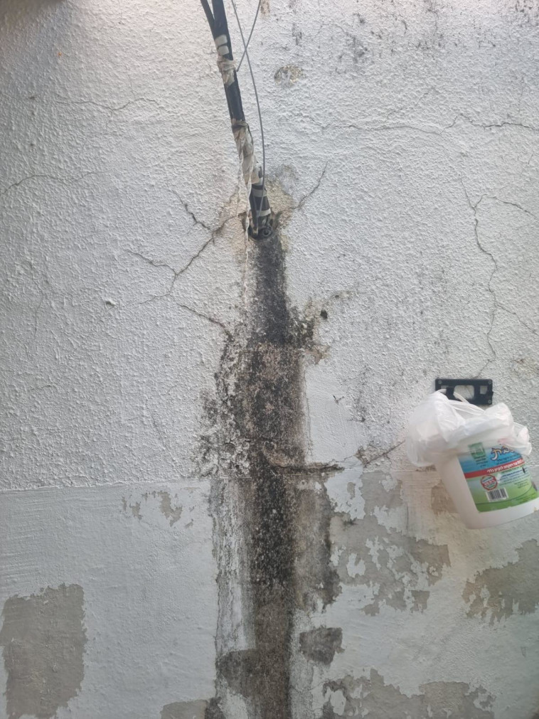 מעון יום מוזנח ביקנעם