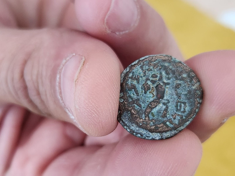 מטבע של מתיתיהו אנטיגונוס (צילום: רשות העתיקות)