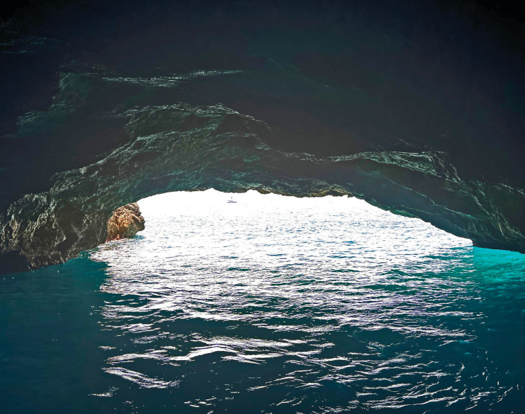 המערכה הכחולה, מונטנגרו