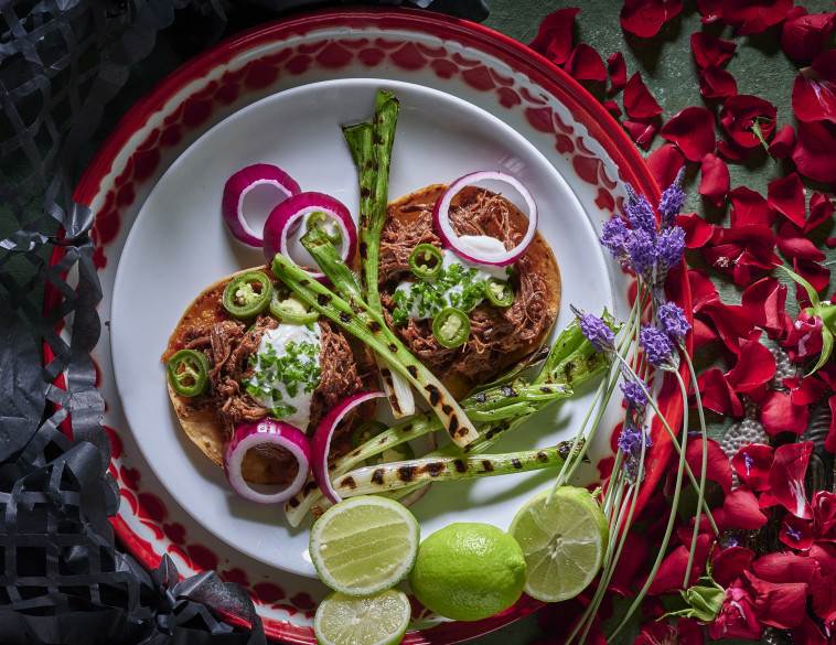 אואזיס, אל גאטו אזול