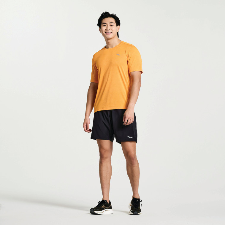 סאקוני, קולקציה חדשה