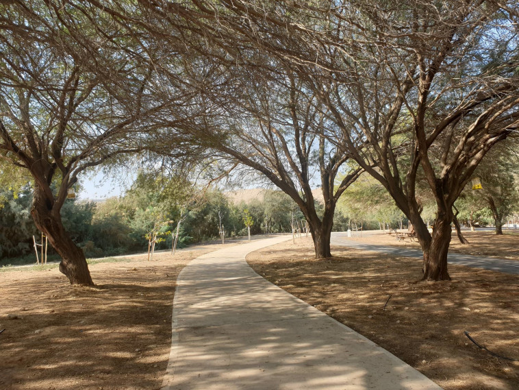 הטיילת באגם ירוחם 