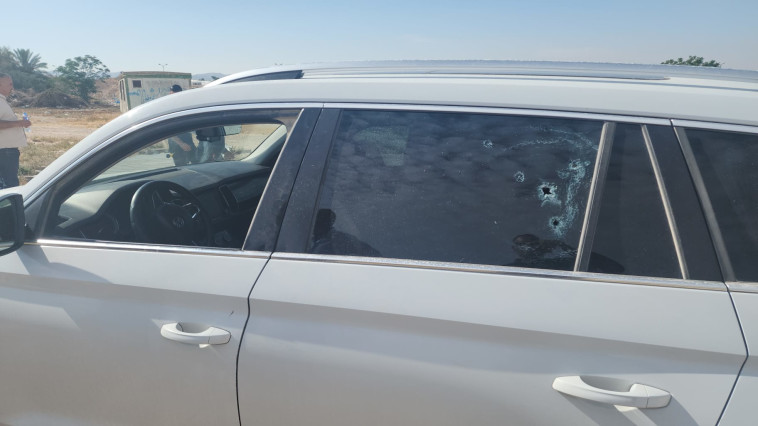 פרוטקשן בנגב