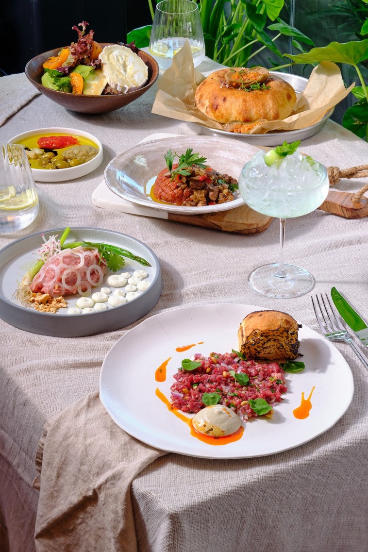 קובה נייה, הברא נייה, טרטר בקר. בשרים נאים באומניה